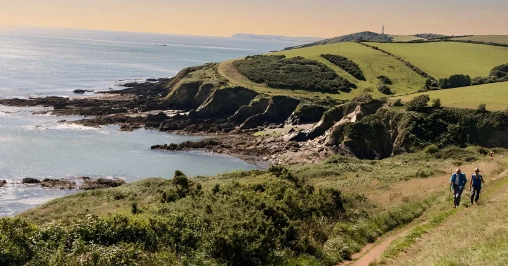 Woodland and Coastal Walks