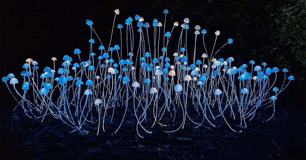 Why Visit Birmingham Light Festival This Year?